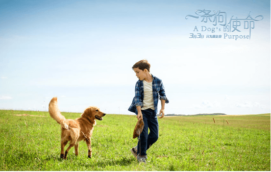 &#24320;&#20113;&#32593;&#39029;&#29256;&#95;&#24320;&#20113;&#40;&#20013;&#22269;&#41;&#23448;&#26041;