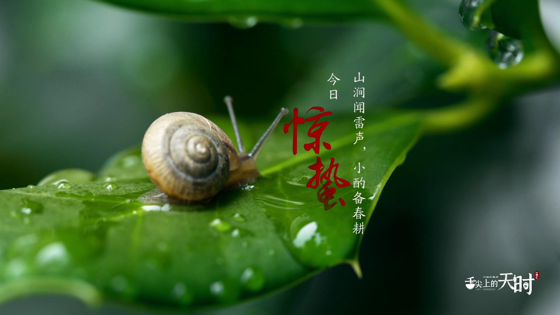 &#24320;&#20113;&#32593;&#39029;&#29256;&#95;&#24320;&#20113;&#40;&#20013;&#22269;&#41;&#23448;&#26041;